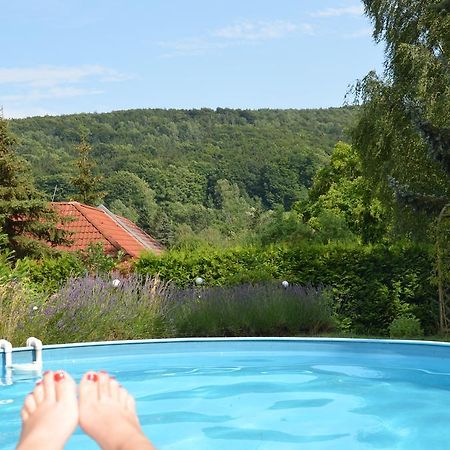 Villa Sonnenseite Jonsdorf エクステリア 写真