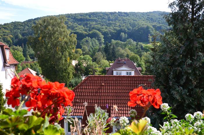 Villa Sonnenseite Jonsdorf エクステリア 写真