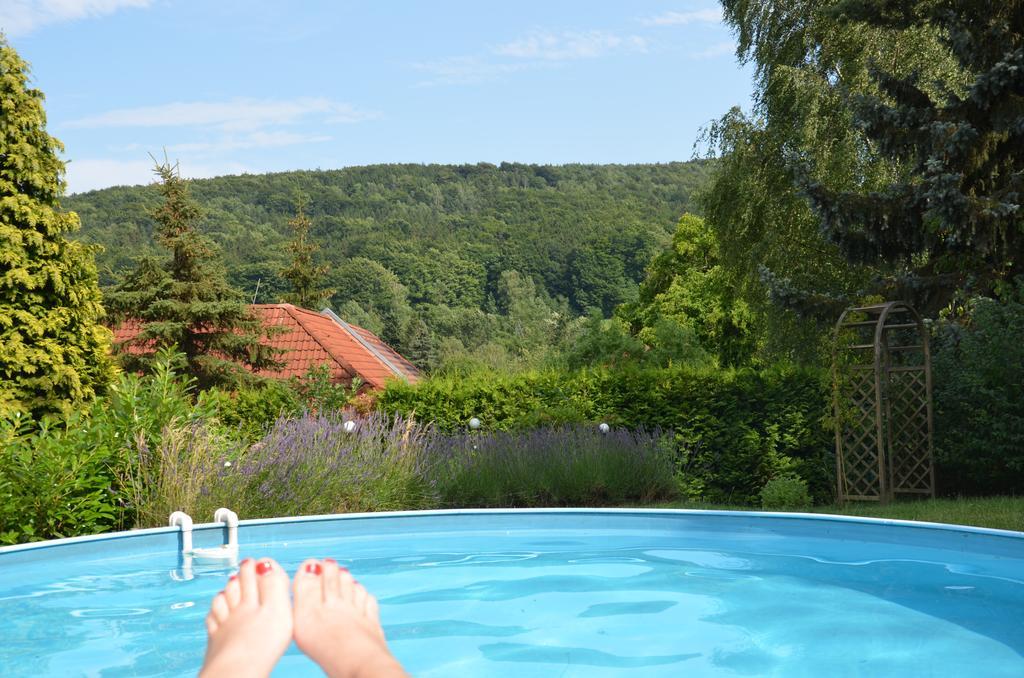 Villa Sonnenseite Jonsdorf エクステリア 写真